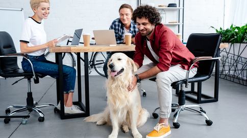 AdobeStock_212600796