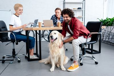 AdobeStock_212600796