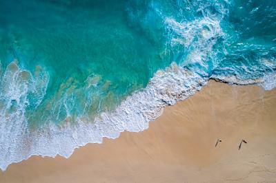 AdobeStock_226164775