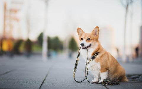 AdobeStock_329137203