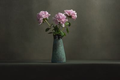 AdobeStock_347743490