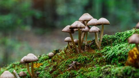 AdobeStock_387187588