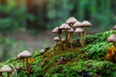 AdobeStock_387187588