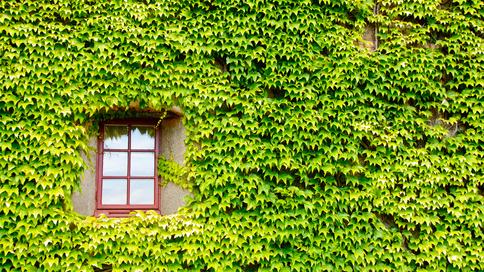 AdobeStock_43760914