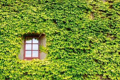 AdobeStock_43760914