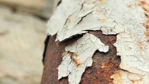 AdobeStock_710069085