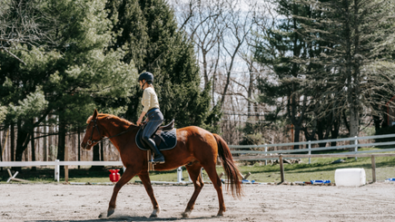 Assumption of Risk After Post v. The Pines Horse Farm Why Virginia Businesses Should Revisit Their Customer Waivers