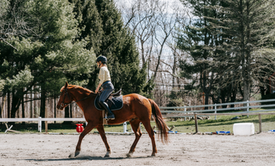 Assumption of Risk After Post v. The Pines Horse Farm Why Virginia Businesses Should Revisit Their Customer Waivers