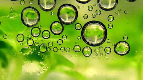Biofuels1