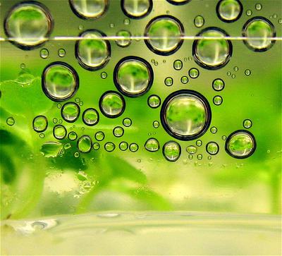 Biofuels1