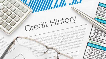 Credit History form