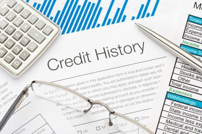 Credit History form