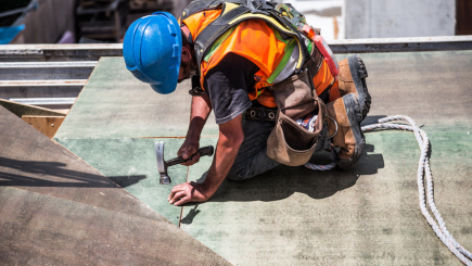 Economic Dynamics and Risk Management in Construction