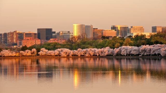 Rosslyn-VA-Photo-with-Cherry-Blossoms-00444019xAC