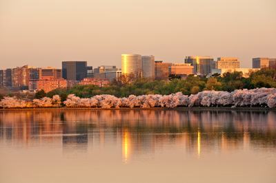 Rosslyn-VA-Photo-with-Cherry-Blossoms-00444019xAC