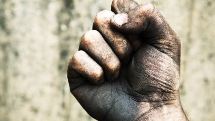 Sooty-Fist