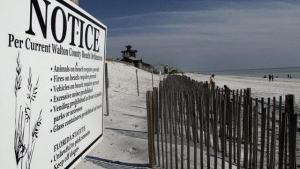 beach_nourish-300×2251