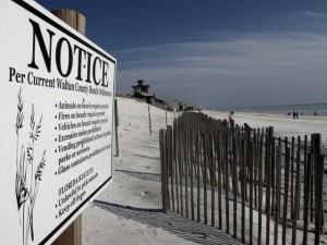 beach_nourish-300×2251