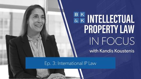 Intellectual Property Law In Focus -- Episode 3: International IP Law