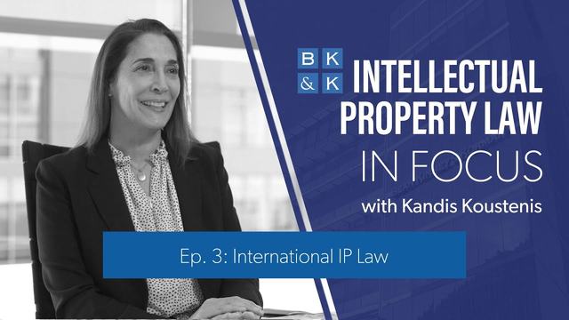 Intellectual Property Law In Focus -- Episode 3: International IP Law