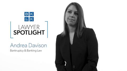 Lawyer Spotlight -- Andrea Davison, Bankruptcy & Banking Law