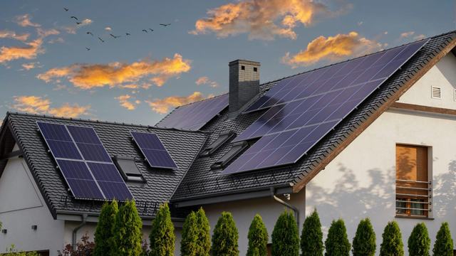 practice-as-a-leed-accredited-professional