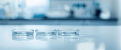 safeguarding-frozen-embryos-through-estate-planning